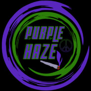 TTVitsPurpleZB