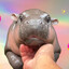 Moko