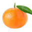 Mandarina