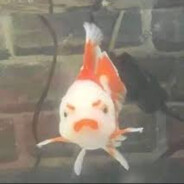 G3ST4PO 𝕹𝖎𝖈𝖐𝖔