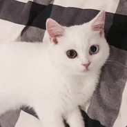 一天不导积阳德 两天不导积积阳阳德