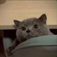 她用姨妈骗我是雏