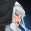 Fallen nun