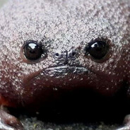 пиздюлятор