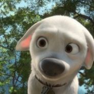 Bolt