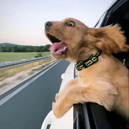 西伯利亚悲伤麻将