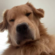 Наротодатель