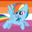 RDashie