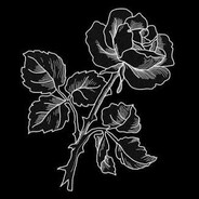 𝕊𝕚4𝕒 - steam id 76561199574132073