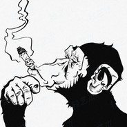 吃个跑车没关系吧