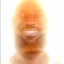 FuGit1ve