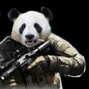 PANDA