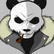 Wild Bear