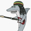 Reggae Shark