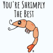 Shrimp Steam avatar