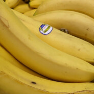 роман торак