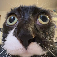 яй - steam id 76561199876849012