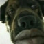 egor9n