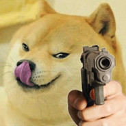 是谁爆了我的钛合金狗头？