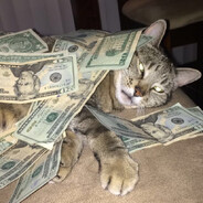 Sqwib