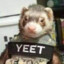 Tactical_Attack_Ferret