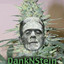 DankNStein