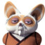 Master shifu