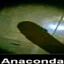 &lt;Боевая_Анаконда&gt;