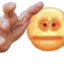 _moisttissue