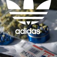 BlindedByAss | interwebz.cc