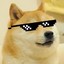 BOT Doge