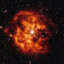 Wolf Rayet