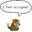sandshrew lover
