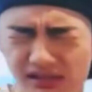 如果我能打到人就打到人了