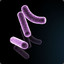 bacilla