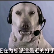 大狗嚼俱乐部打手