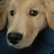 和你一样臭不要脸