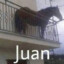 Juan