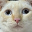 ไหวมั้ยคะ?