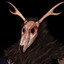 craven_2