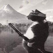 . . . - steam id 76561199489845865