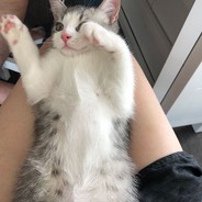 向来如此，便对么？