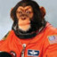 SpaceApe