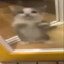 ๋
