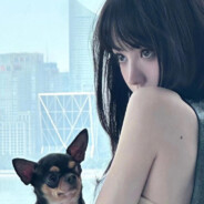 修机狂魔 费菲尔德