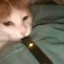 Juul