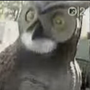 bitbird32