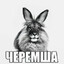 ЧЕРЕМША