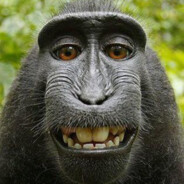 丛林特种子弹头大马猴