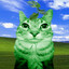 Avatar of mostardo